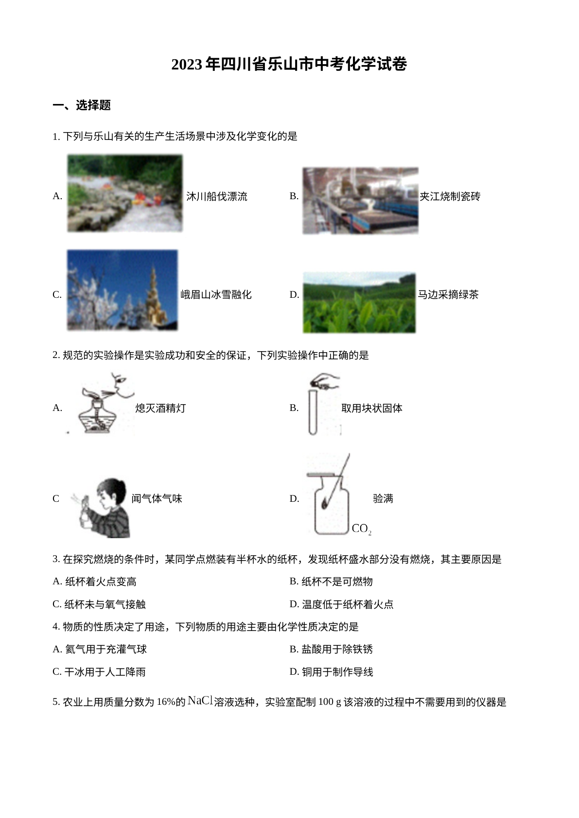 2023年四川省乐山市中考化学真题 试卷预览图