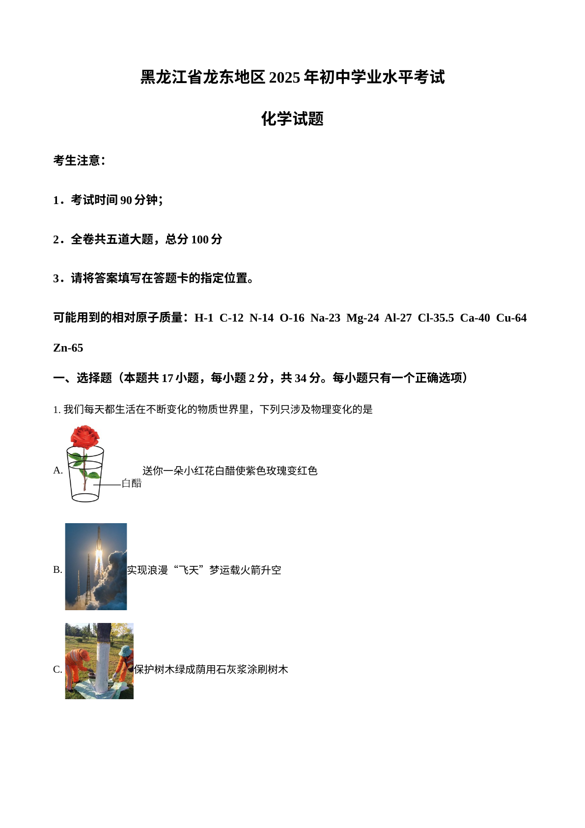 2025年黑龙江省龙东地区中考化学真题 试卷预览图